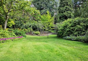 Optimiser l'expérience du jardin à Champlat-et-Boujacourt